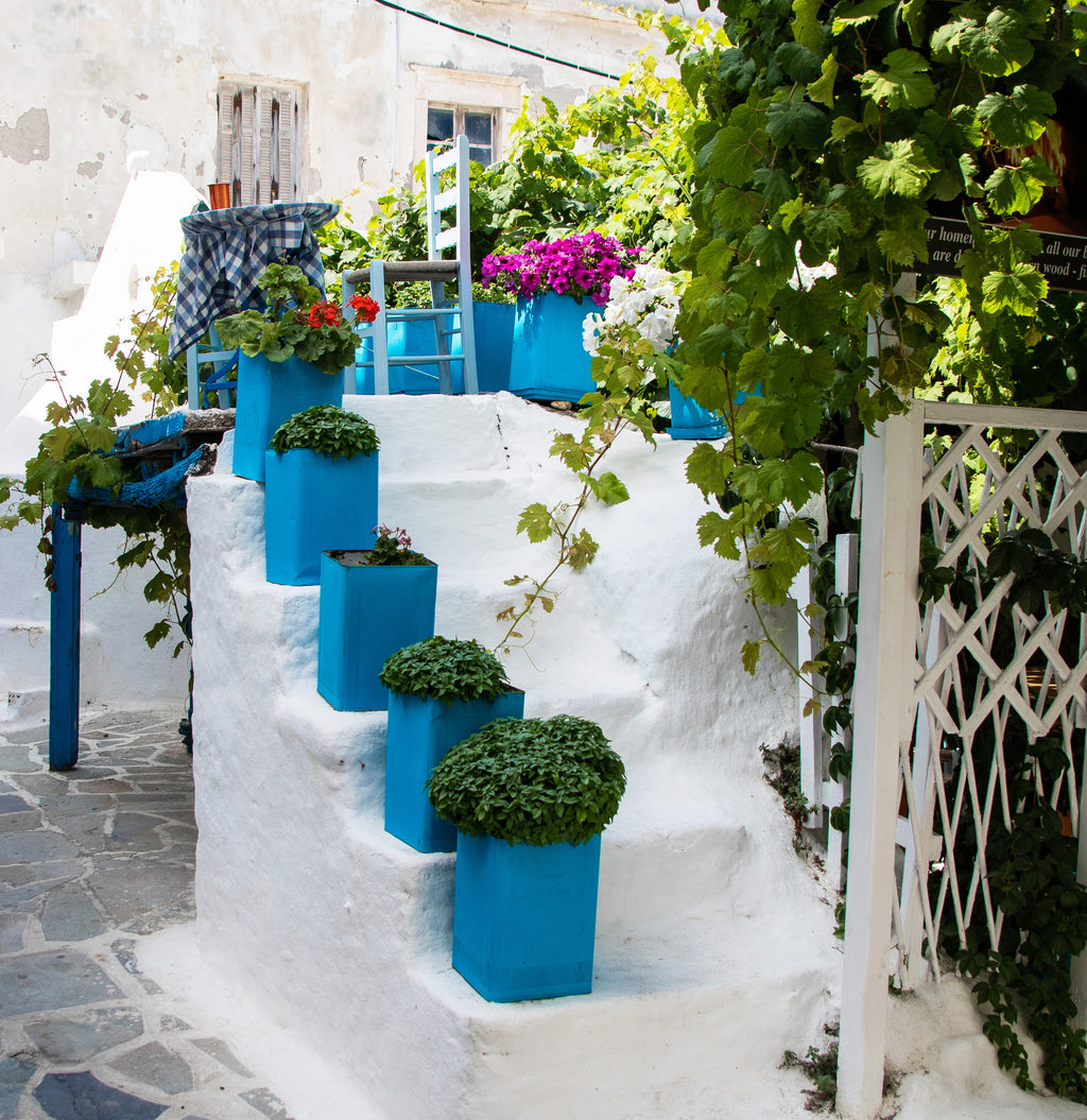 Simply More Greek