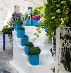 Simply More Greek