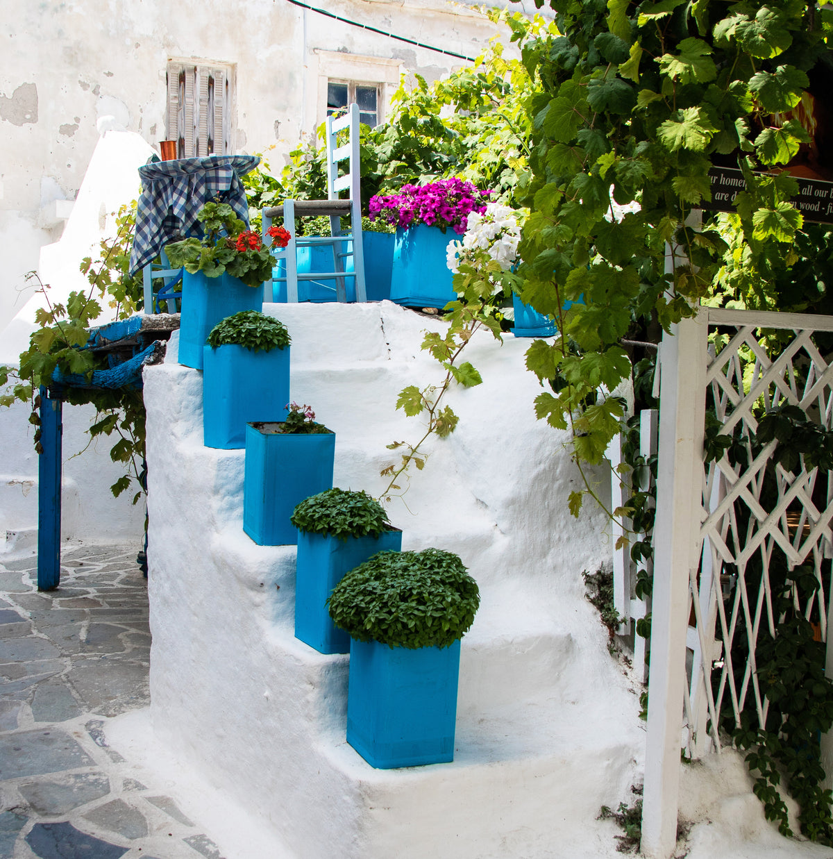 Simply More Greek