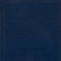 David Korty: Blue Shelves