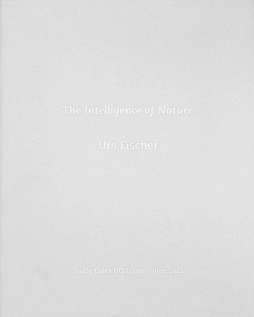 The Intelligence of Nature