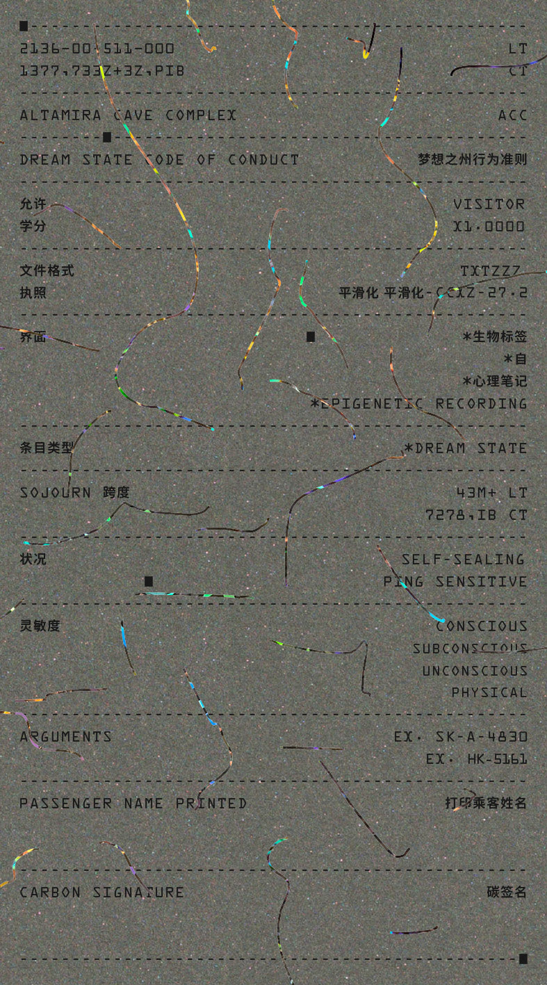 Dream State Code of Conduct ( Middle Income Level)