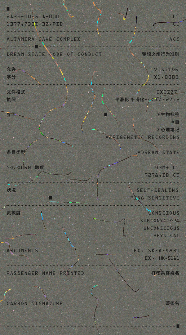 Dream State Code of Conduct ( Middle Income Level)