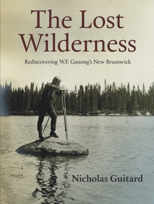 The Lost Wilderness