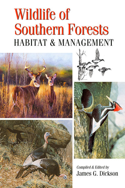 Wildlife of Southern Forests