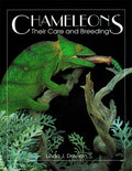 Chameleons