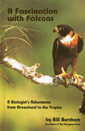 Fascination with Falcons