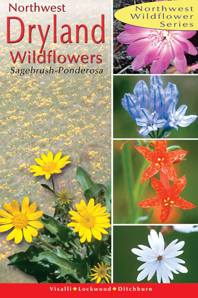 Northwest Dryland Wildflowers