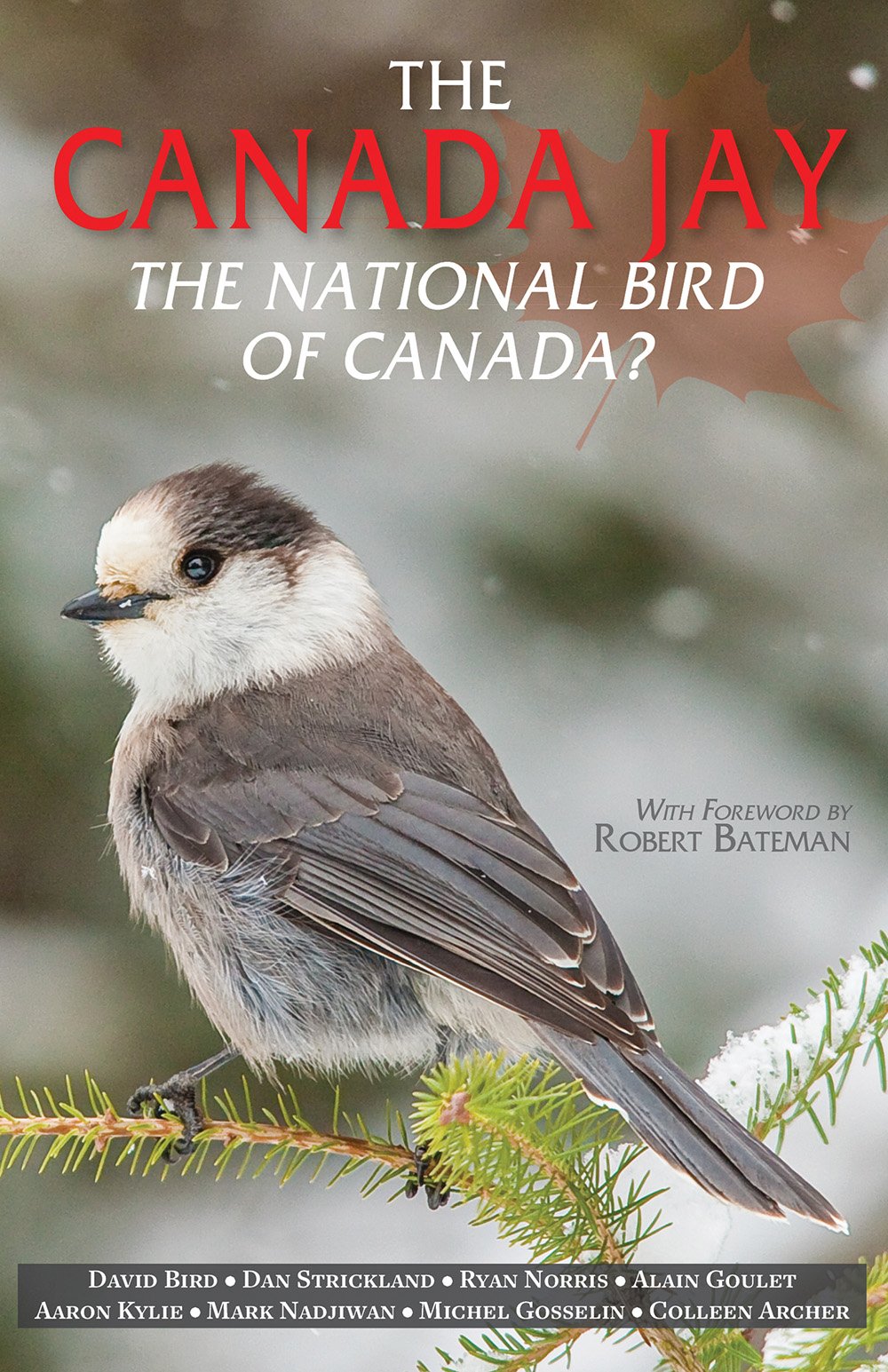 The Canada Jay