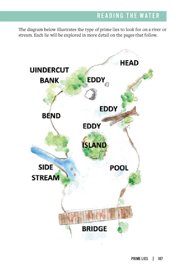 Fly Fishing Fundamentals