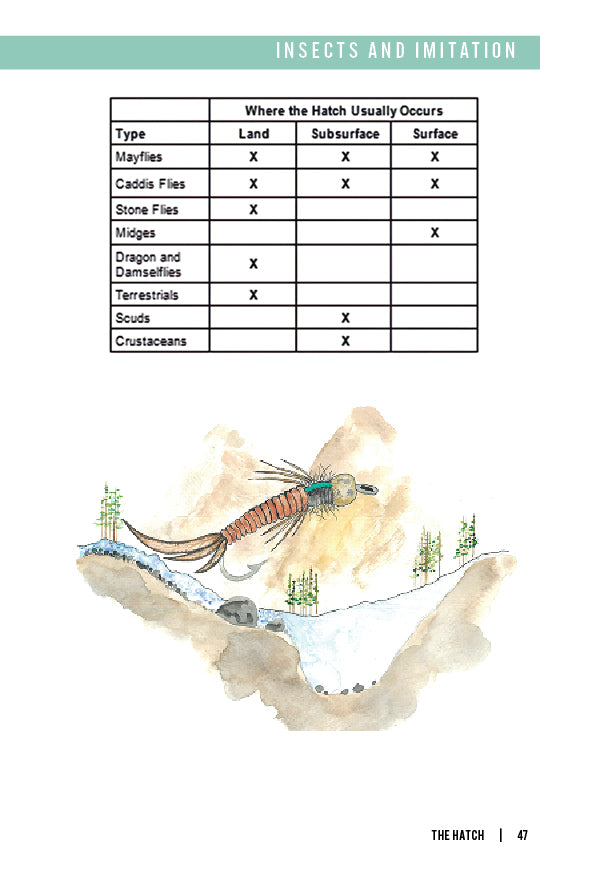 Fly Fishing Fundamentals