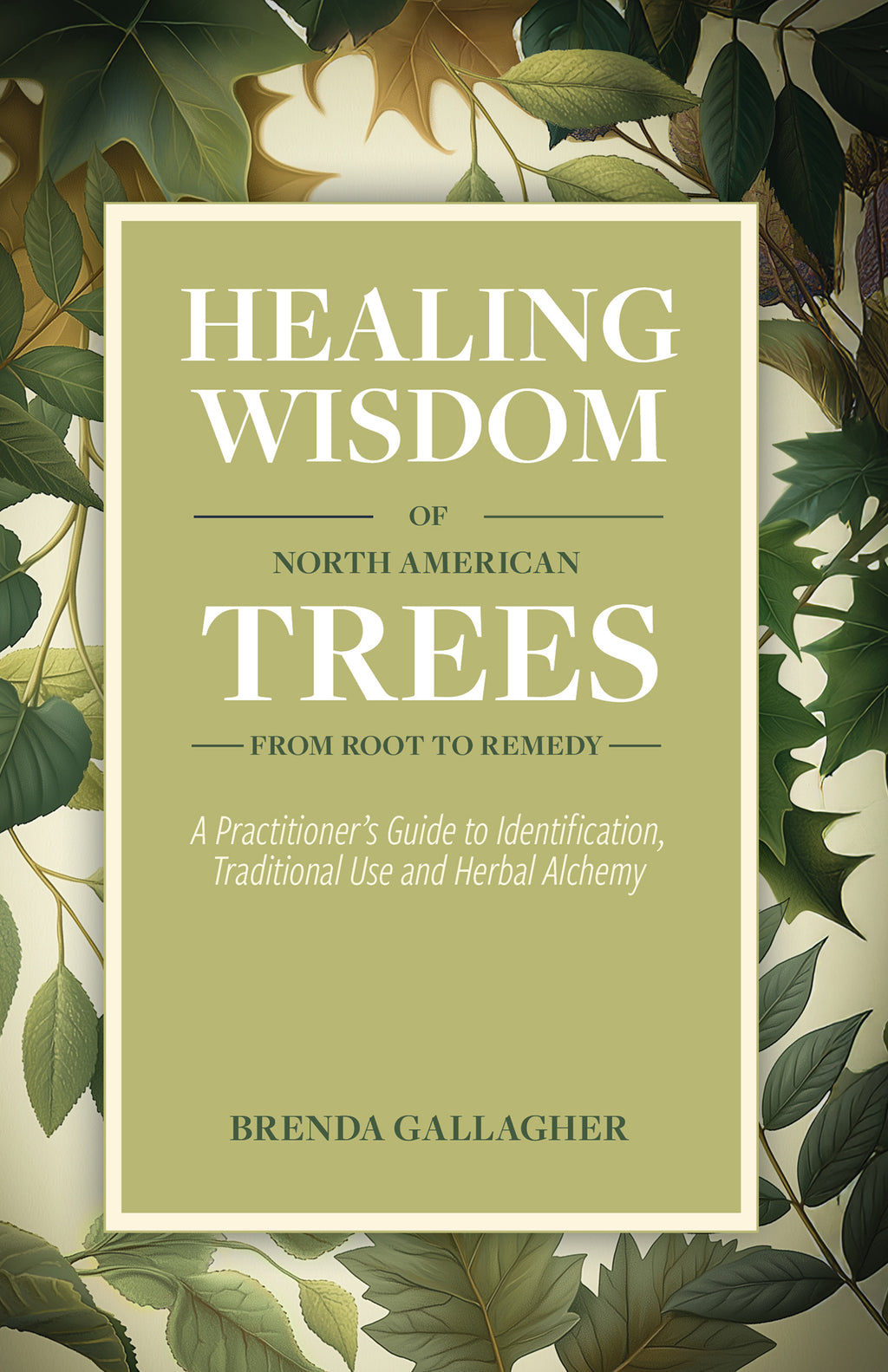 Healing Wisdom of North American Trees