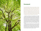 Healing Wisdom of North American Trees