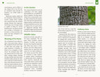 Healing Wisdom of North American Trees