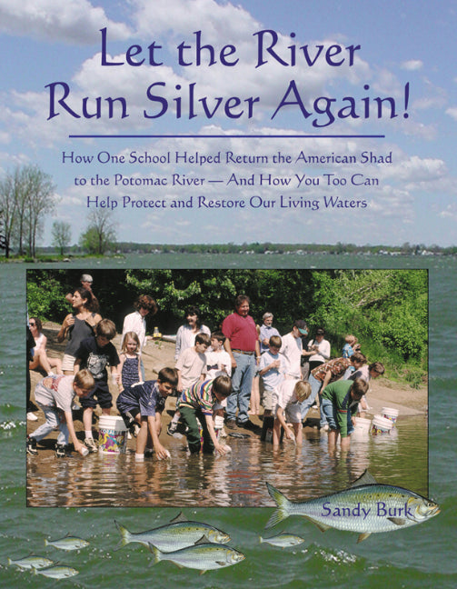 Let the River Run Silver Again!