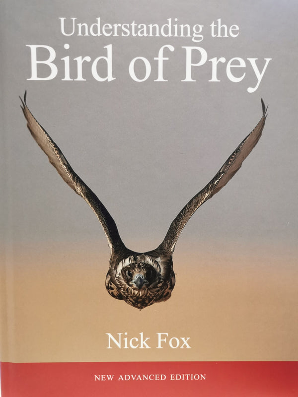 Understanding the Bird of Prey- Advanced Edition