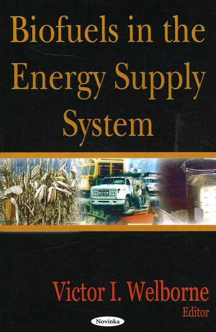 Biofuels in the Energy Supply System