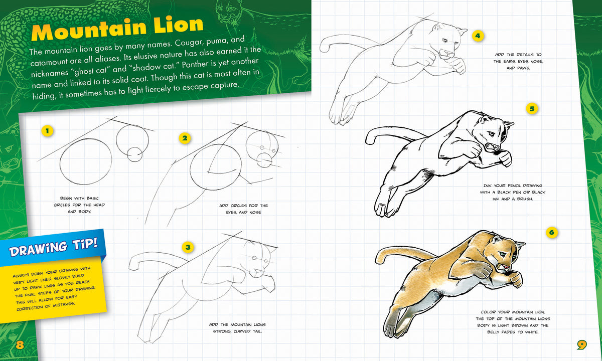 Big Cats