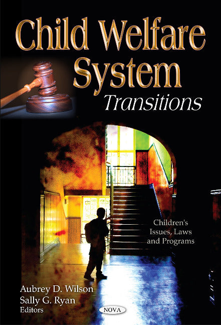 Child Welfare System