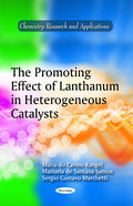 Promoting Effect of Lanthanum in Heterogeneous Catalysts