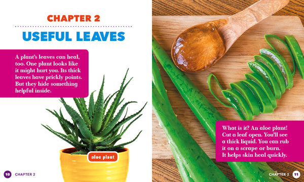 Healing Plants