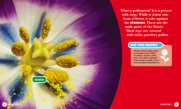 Pollinating Plants