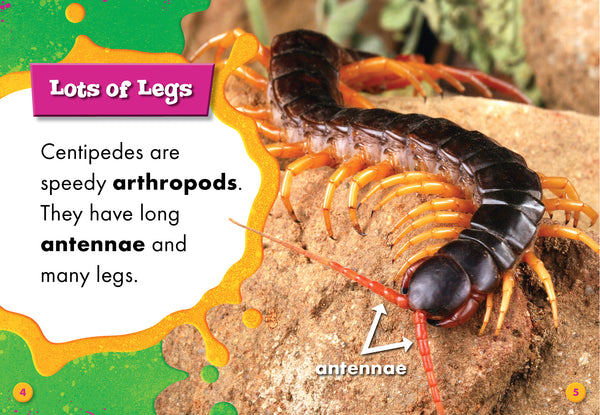 Centipedes