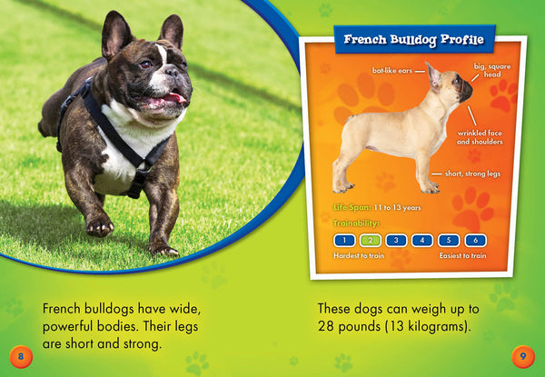 French Bulldogs