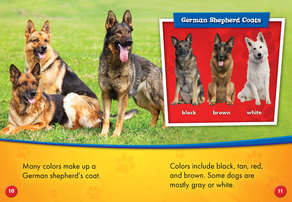 German Shepherds