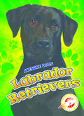Labrador Retrievers