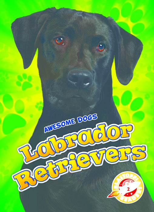 Labrador Retrievers