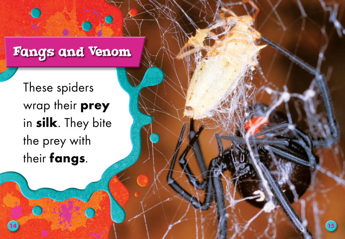 Black Widow Spiders