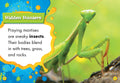 Praying Mantises