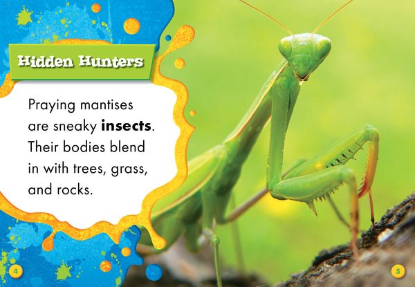 Praying Mantises