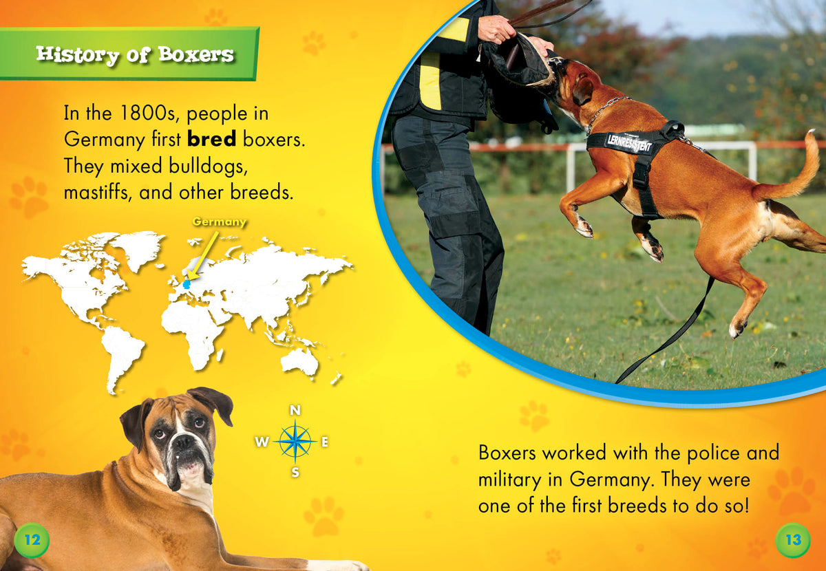 Boxers