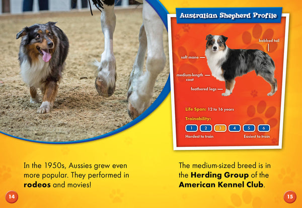 Australian Shepherds