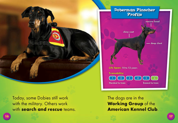 Doberman Pinschers