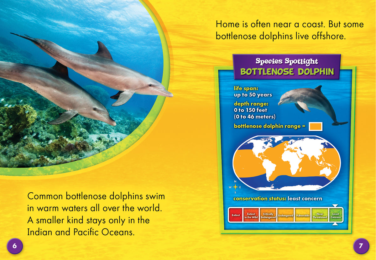 Bottlenose Dolphins