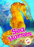 Sea Horses