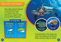 Sea Turtles