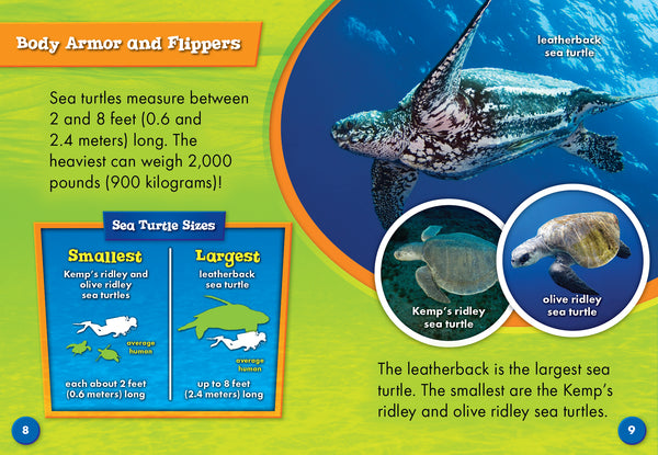 Sea Turtles