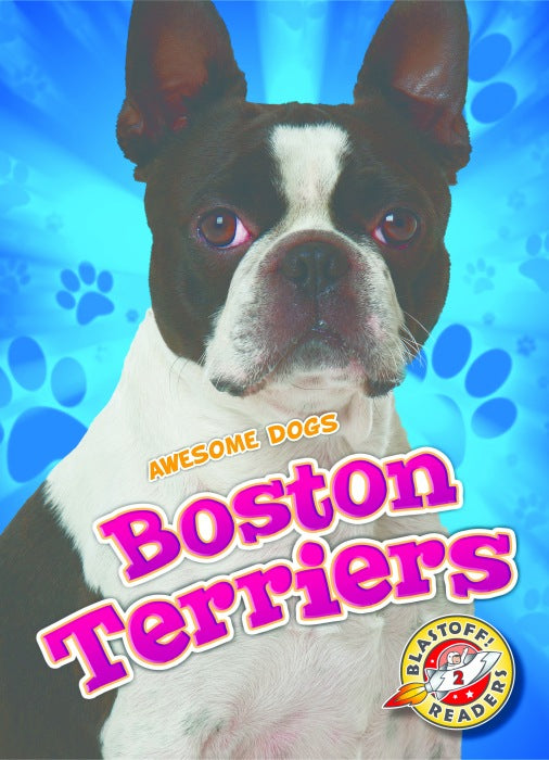 Boston Terriers
