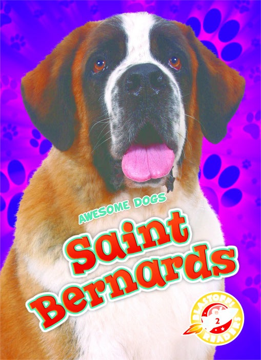 Saint Bernards