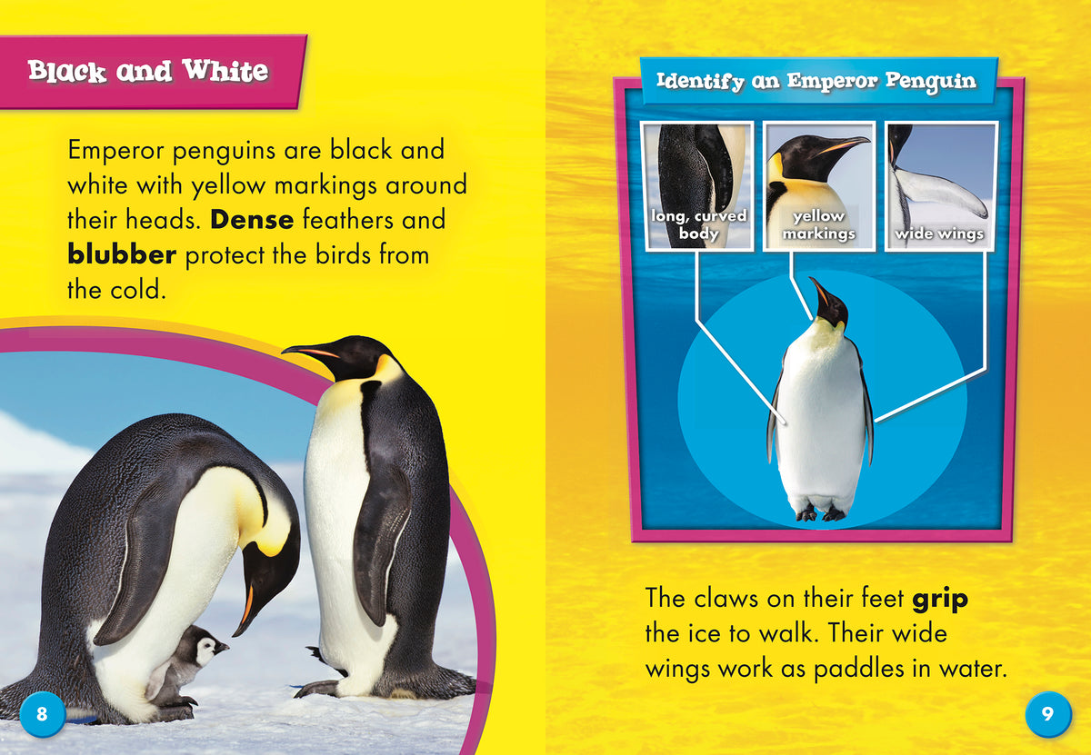 Emperor Penguins