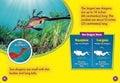 Sea Dragons