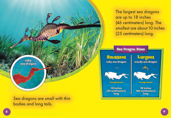 Sea Dragons