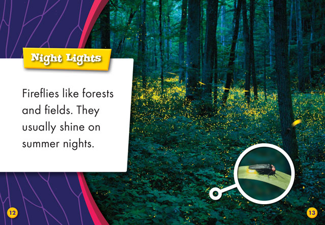 Fireflies