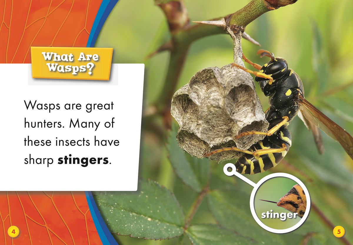 Wasps
