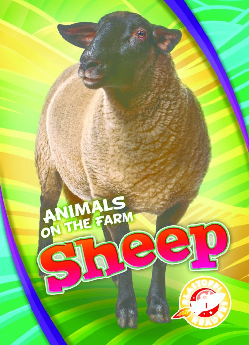 Sheep