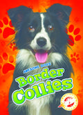 Border Collies